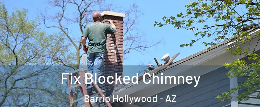 Fix Blocked Chimney Barrio Hollywood - AZ
