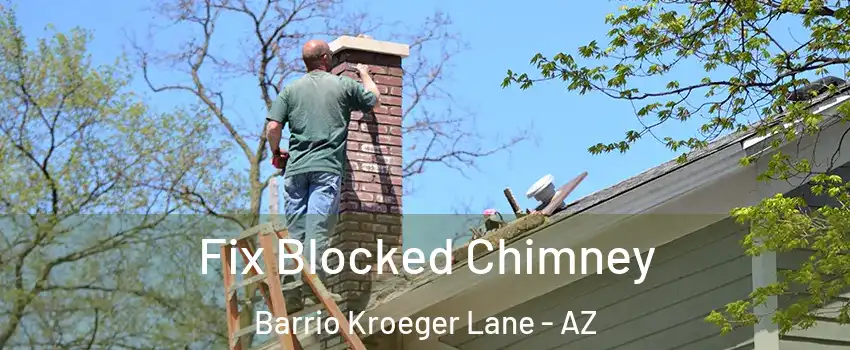 Fix Blocked Chimney Barrio Kroeger Lane - AZ