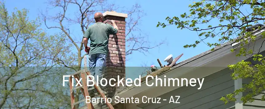 Fix Blocked Chimney Barrio Santa Cruz - AZ