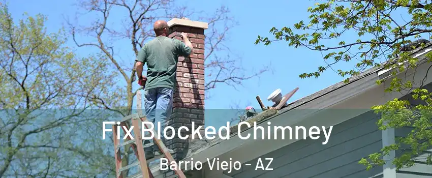 Fix Blocked Chimney Barrio Viejo - AZ