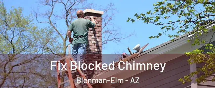 Fix Blocked Chimney Blenman-Elm - AZ