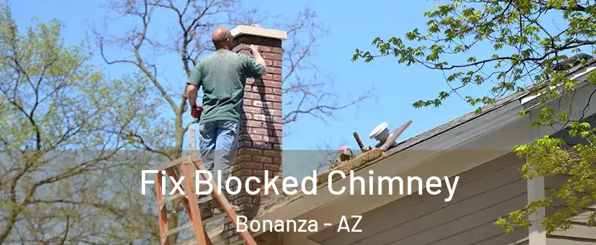 Fix Blocked Chimney Bonanza - AZ