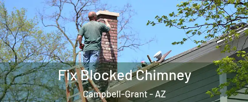 Fix Blocked Chimney Campbell-Grant - AZ