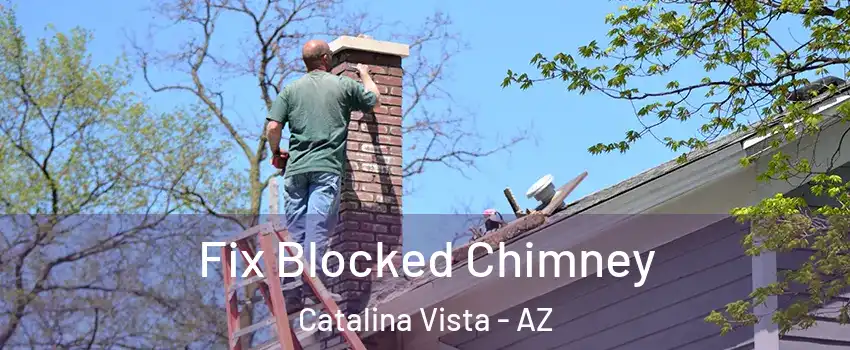 Fix Blocked Chimney Catalina Vista - AZ