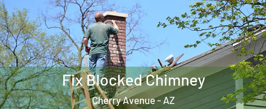 Fix Blocked Chimney Cherry Avenue - AZ