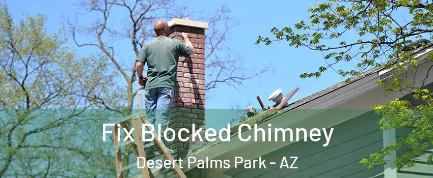 Fix Blocked Chimney Desert Palms Park - AZ