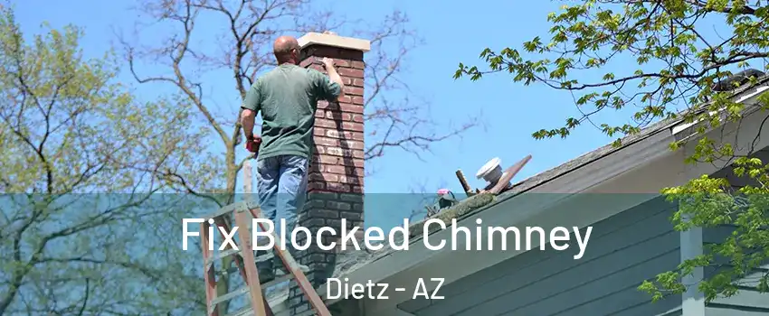 Fix Blocked Chimney Dietz - AZ