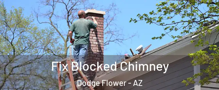 Fix Blocked Chimney Dodge Flower - AZ