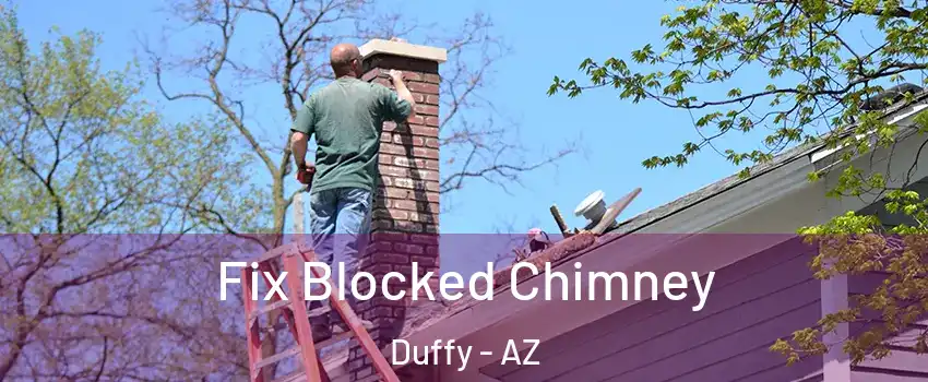 Fix Blocked Chimney Duffy - AZ