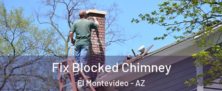 Fix Blocked Chimney El Montevideo - AZ