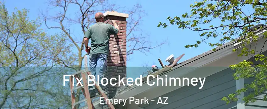 Fix Blocked Chimney Emery Park - AZ