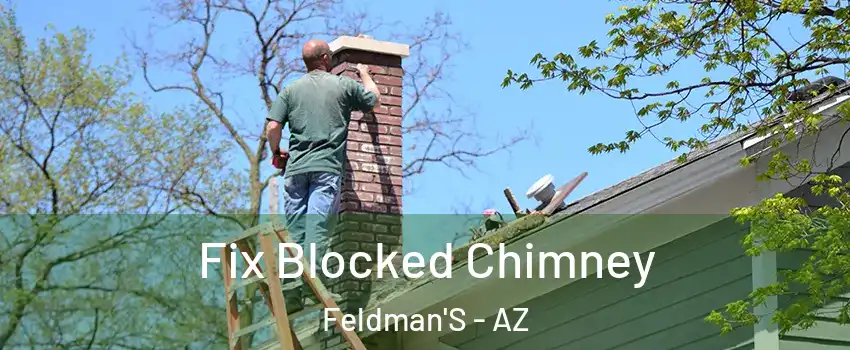 Fix Blocked Chimney Feldman'S - AZ