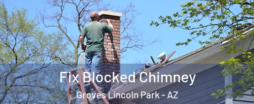 Fix Blocked Chimney Groves Lincoln Park - AZ
