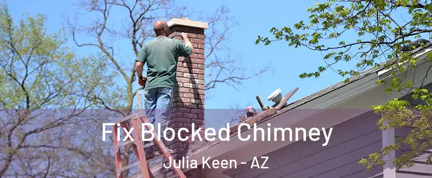 Fix Blocked Chimney Julia Keen - AZ