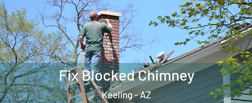 Fix Blocked Chimney Keeling - AZ