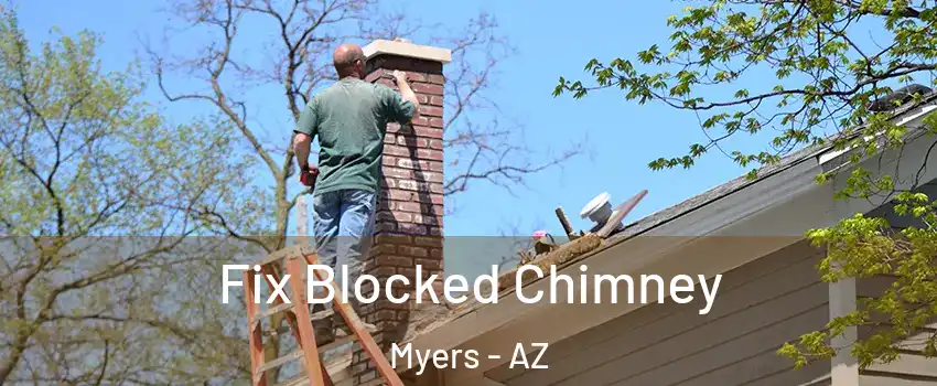 Fix Blocked Chimney Myers - AZ