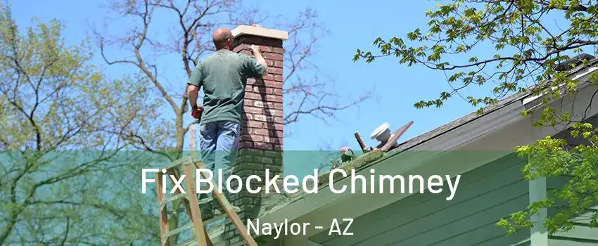 Fix Blocked Chimney Naylor - AZ