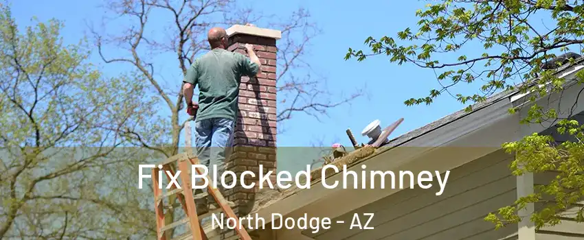 Fix Blocked Chimney North Dodge - AZ