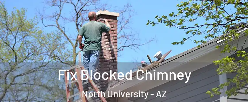 Fix Blocked Chimney North University - AZ