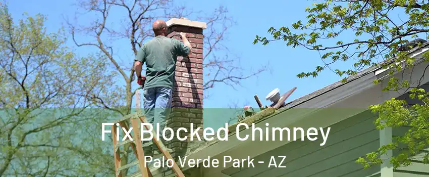 Fix Blocked Chimney Palo Verde Park - AZ