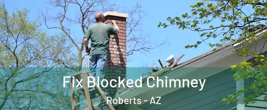 Fix Blocked Chimney Roberts - AZ