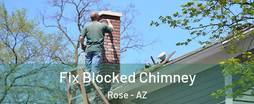 Fix Blocked Chimney Rose - AZ