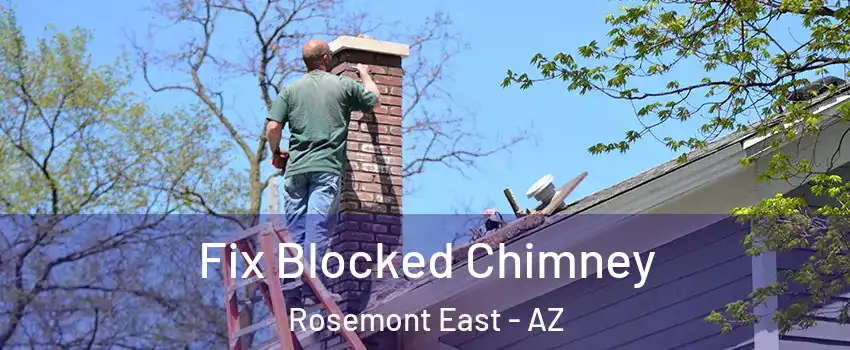 Fix Blocked Chimney Rosemont East - AZ