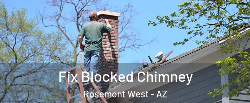 Fix Blocked Chimney Rosemont West - AZ