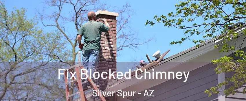 Fix Blocked Chimney Silver Spur - AZ