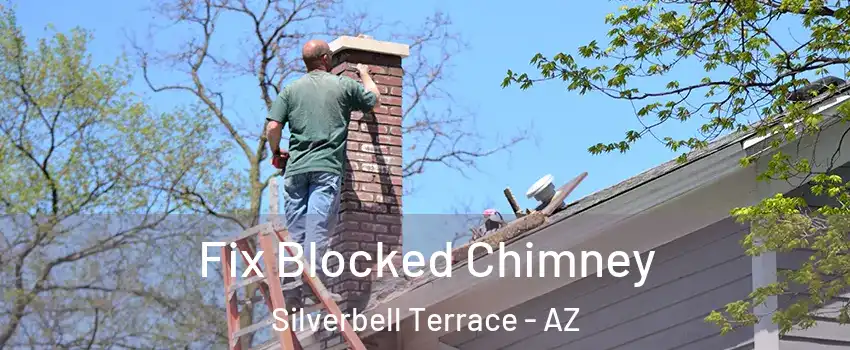 Fix Blocked Chimney Silverbell Terrace - AZ