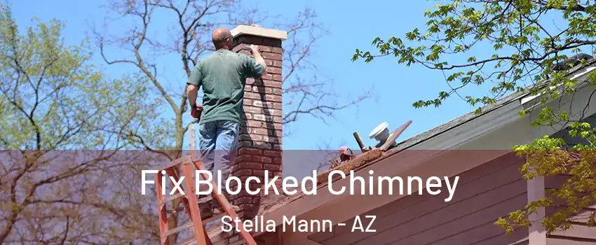 Fix Blocked Chimney Stella Mann - AZ