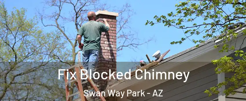 Fix Blocked Chimney Swan Way Park - AZ