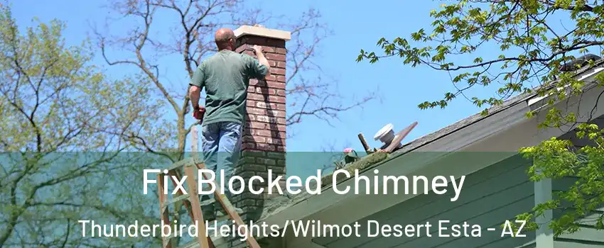 Fix Blocked Chimney Thunderbird Heights/Wilmot Desert Esta - AZ