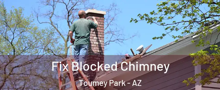 Fix Blocked Chimney Toumey Park - AZ