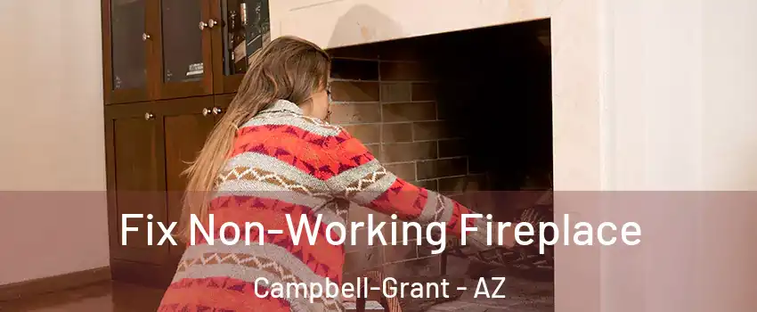 Fix Non-Working Fireplace Campbell-Grant - AZ