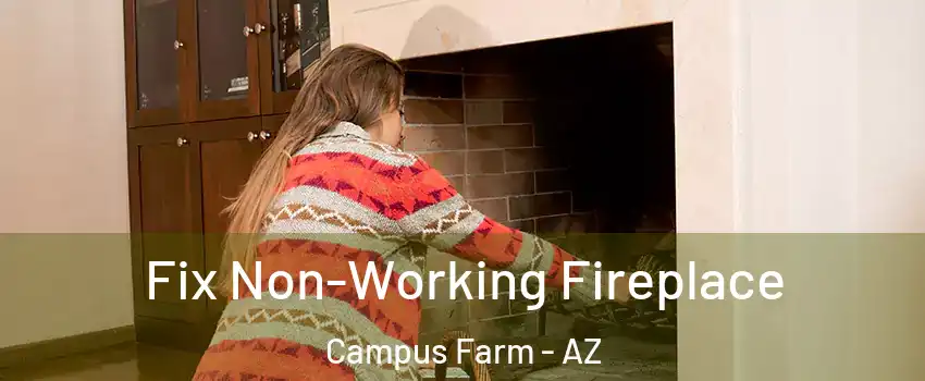Fix Non-Working Fireplace Campus Farm - AZ