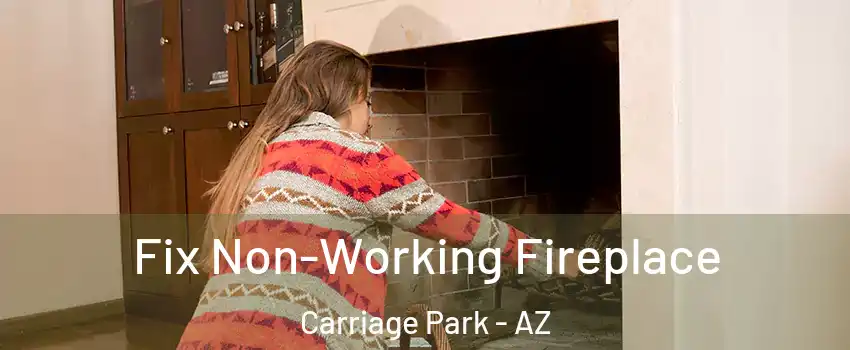 Fix Non-Working Fireplace Carriage Park - AZ