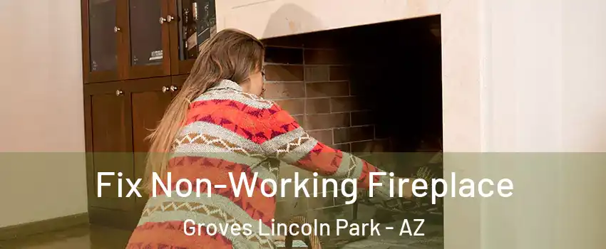 Fix Non-Working Fireplace Groves Lincoln Park - AZ