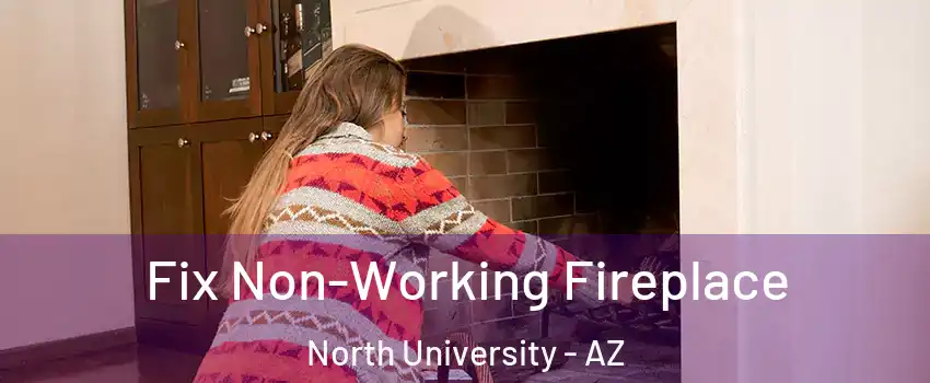 Fix Non-Working Fireplace North University - AZ