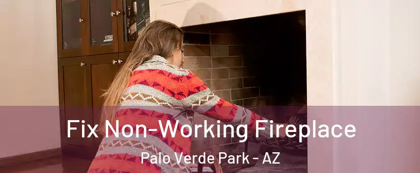 Fix Non-Working Fireplace Palo Verde Park - AZ