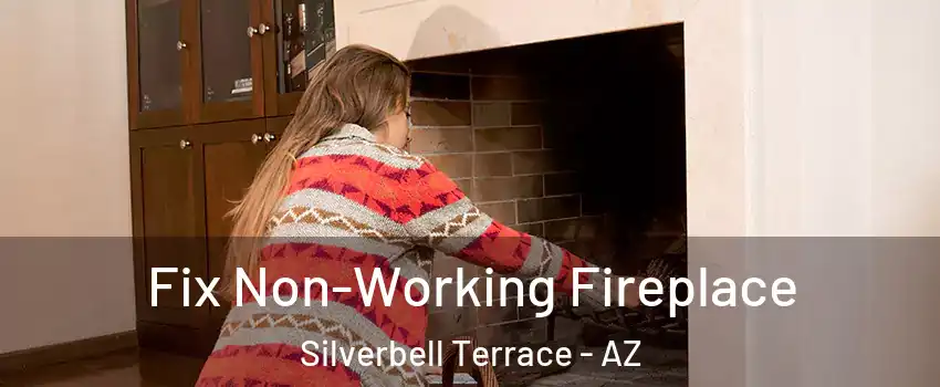 Fix Non-Working Fireplace Silverbell Terrace - AZ