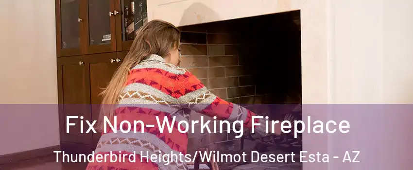 Fix Non-Working Fireplace Thunderbird Heights/Wilmot Desert Esta - AZ