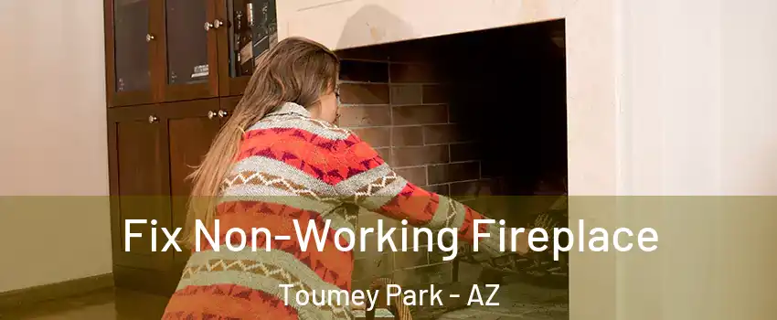 Fix Non-Working Fireplace Toumey Park - AZ