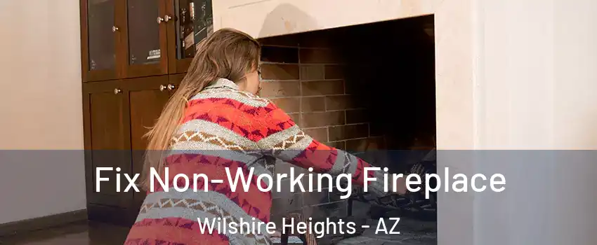 Fix Non-Working Fireplace Wilshire Heights - AZ