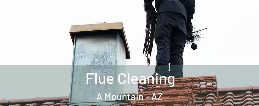 Flue Cleaning A Mountain - AZ