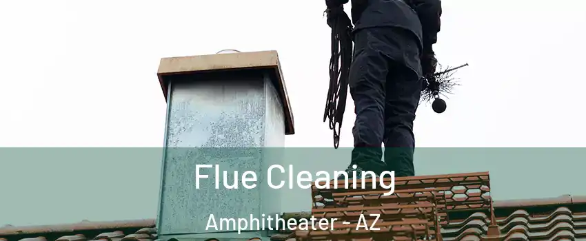 Flue Cleaning Amphitheater - AZ