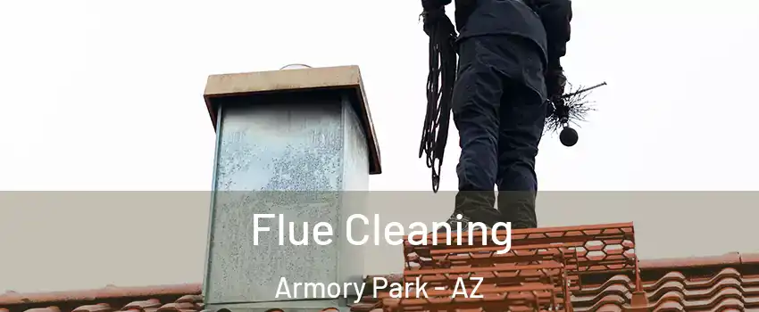 Flue Cleaning Armory Park - AZ