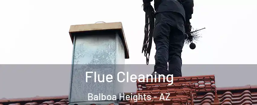 Flue Cleaning Balboa Heights - AZ