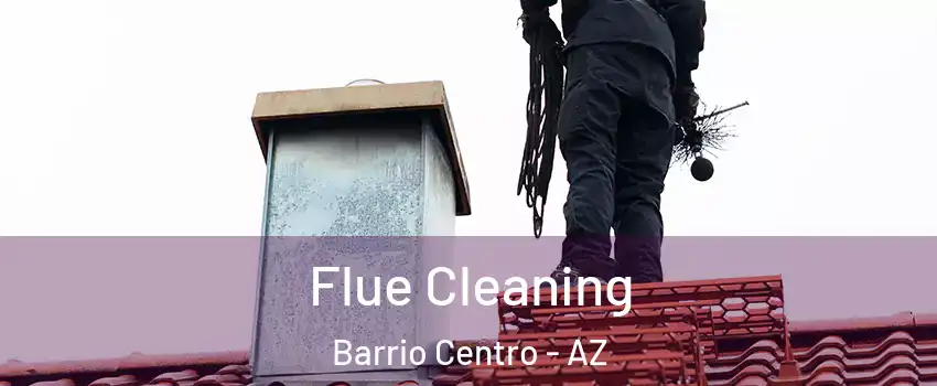 Flue Cleaning Barrio Centro - AZ