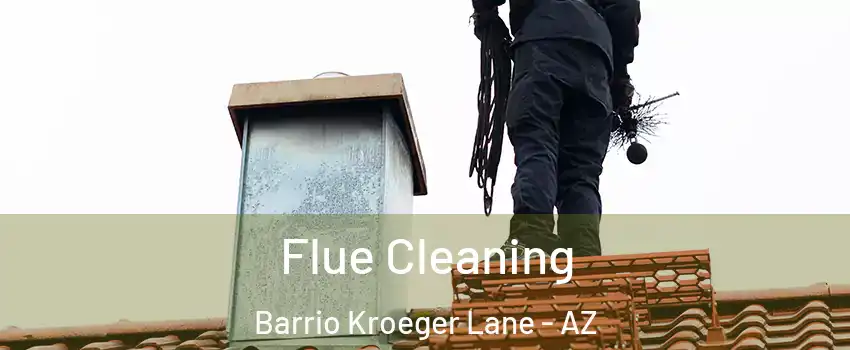 Flue Cleaning Barrio Kroeger Lane - AZ